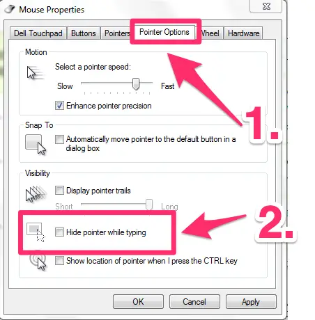Screenshot showing the 'hide pointer while tying' setting in windows 10 and 11